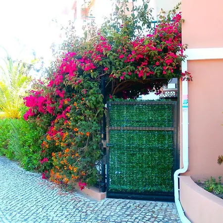 Casa Bouganville Апартаменты